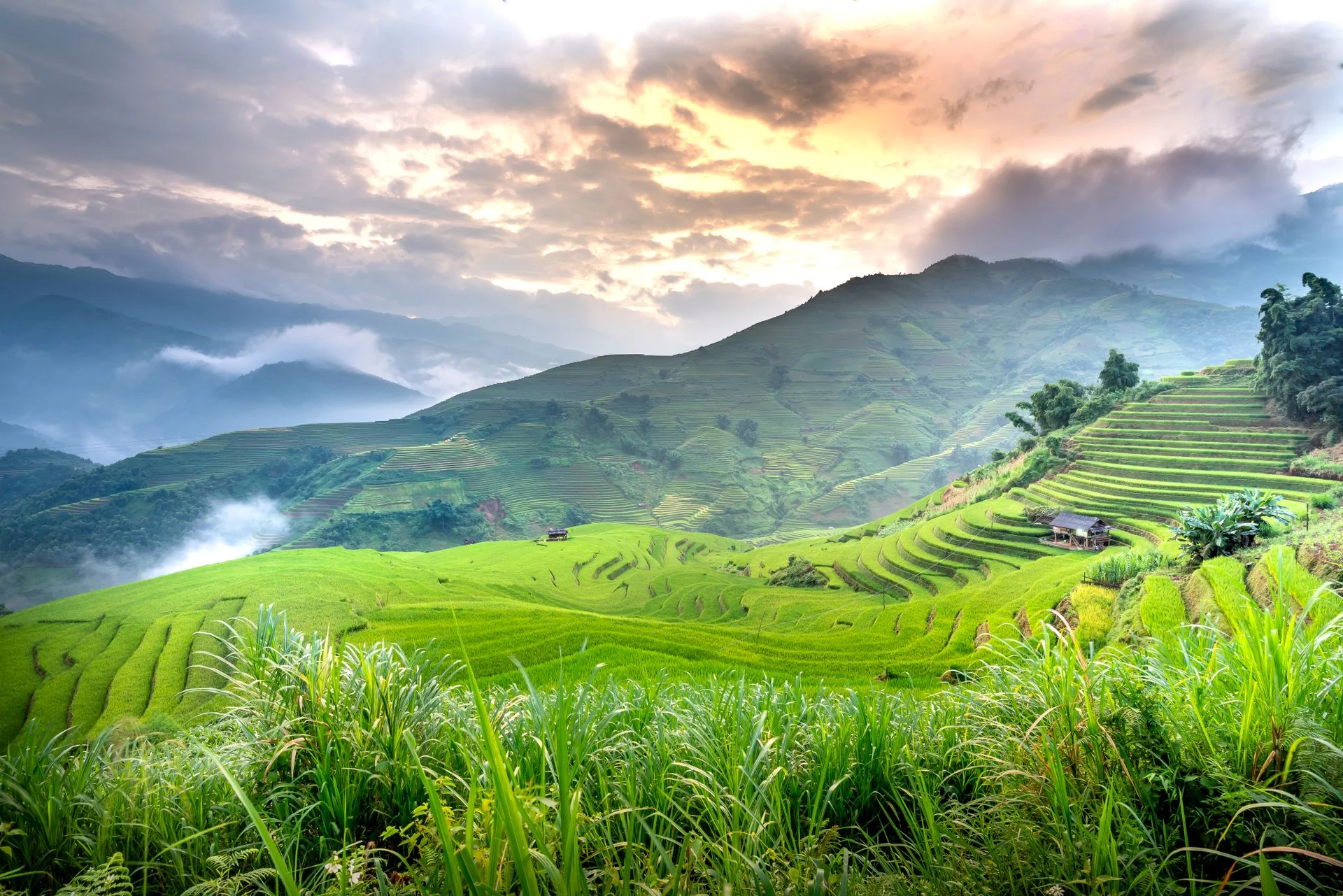 Grand Vietnam Discovery itinerary, terraced rice fields at sunrise — Vietnam DMC by Fiesta Asia Travel