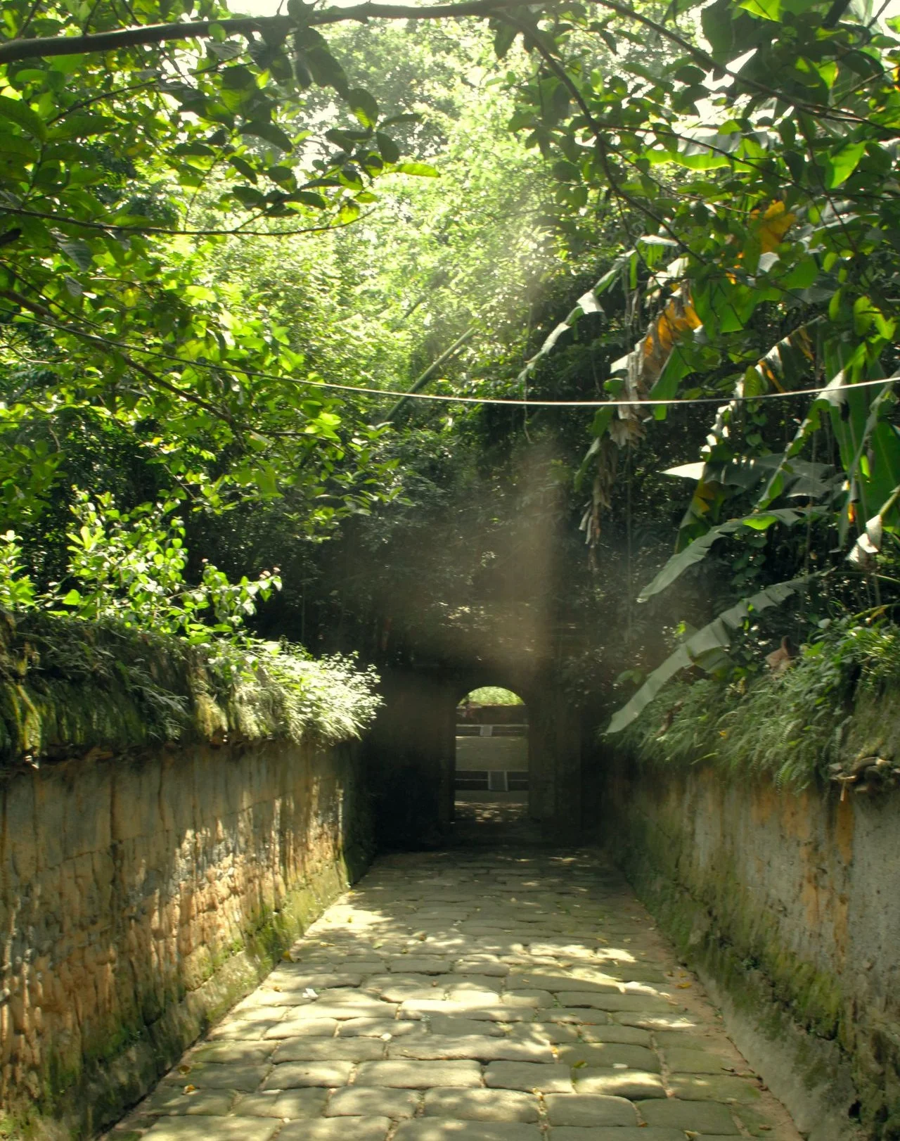 The Cu Chi Tunnels war history site near Ho Chi Minh City